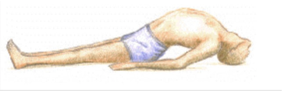 Matsyasana - Ioga
