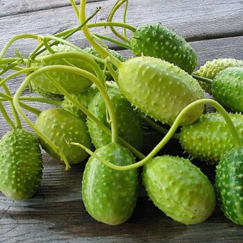 Suco de maxixe