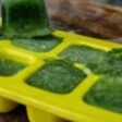 Gelo de chá verde
