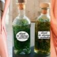 Prepare álcool de alecrim e castanha-da-índia para varizes, má circulação e dores nas pernas