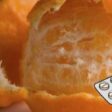laranja descascada