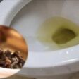 Cheiro de urina