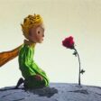 Pequeno principe
