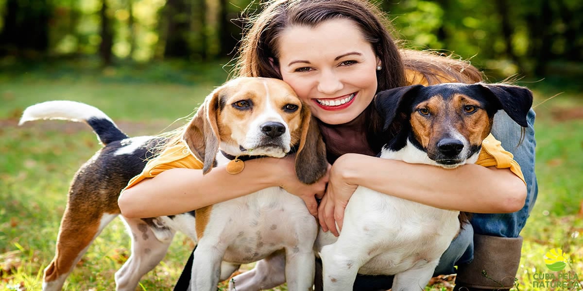 Mulher e cachorros
