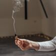 Conheça as propriedades e benefícios do Palo Santo